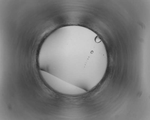 X0000114240681200910231524