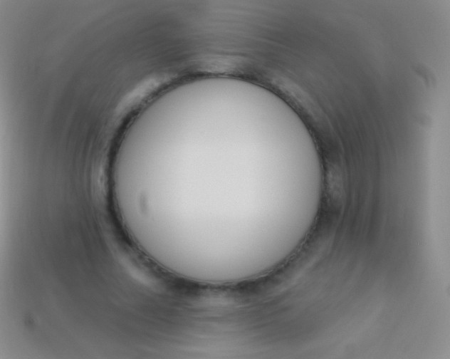 X0000114240682200910231524