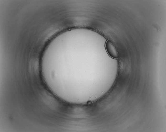 X0000114240684200910231524