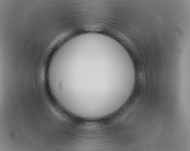 X0000114240686200910231524