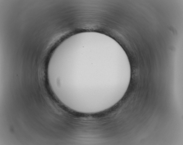 X0000114240688200910231524