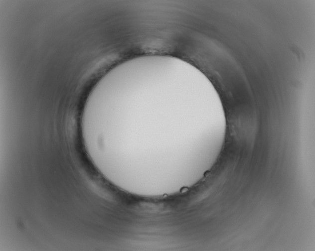 X0000114240690200910231524