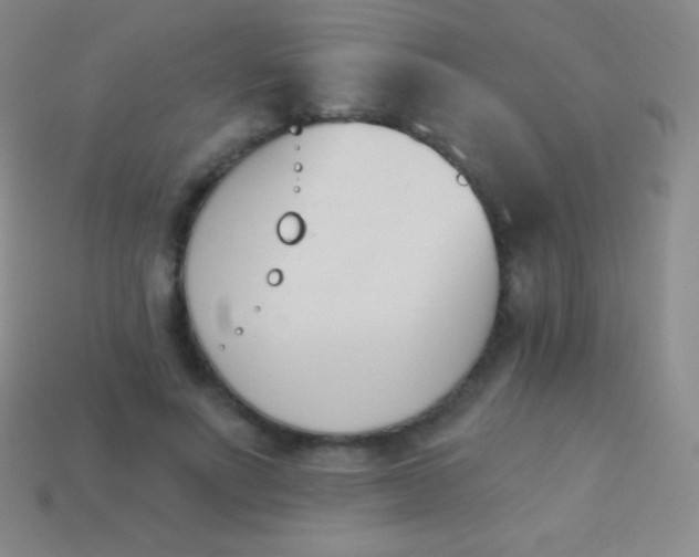 X0000114240691200910231524