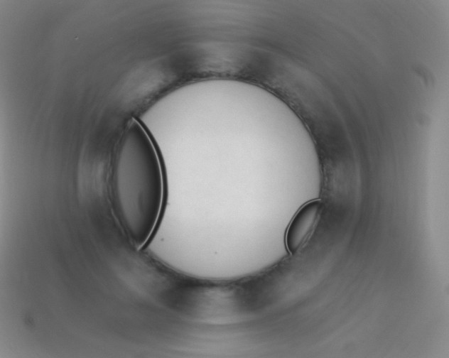 X0000114240692200910231524