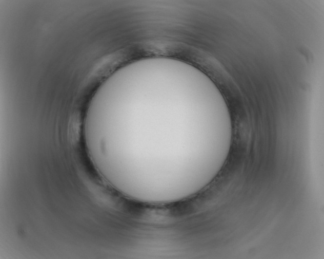 X0000114240694200910231524