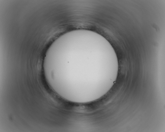 X0000114240695200910231524