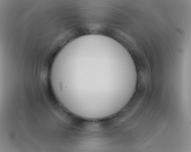X0000114240698200910231524
