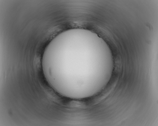 X0000114240699200910231524