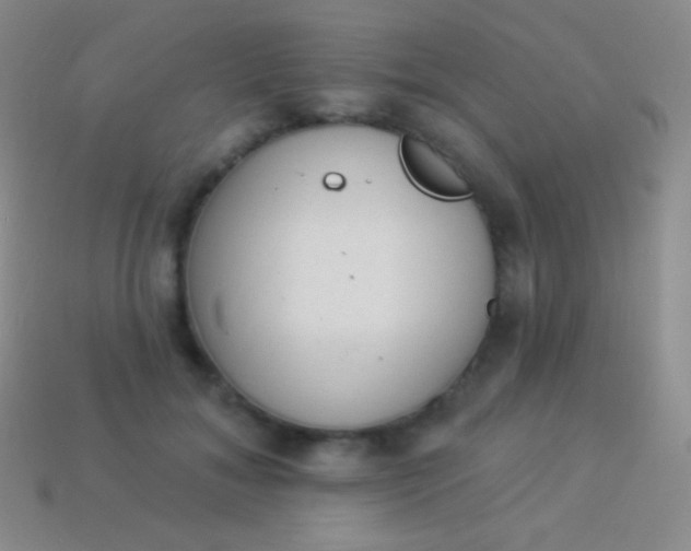 X0000114240700200910231524