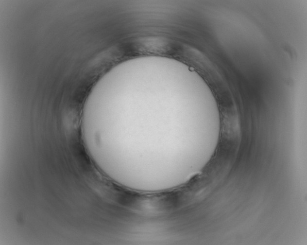 X0000114240701200910231524