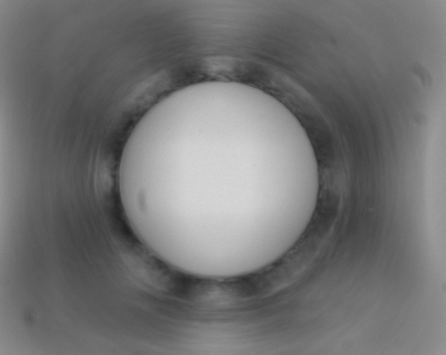 X0000114240702200910231524