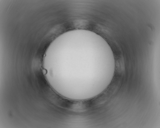 X0000114240705200910231524