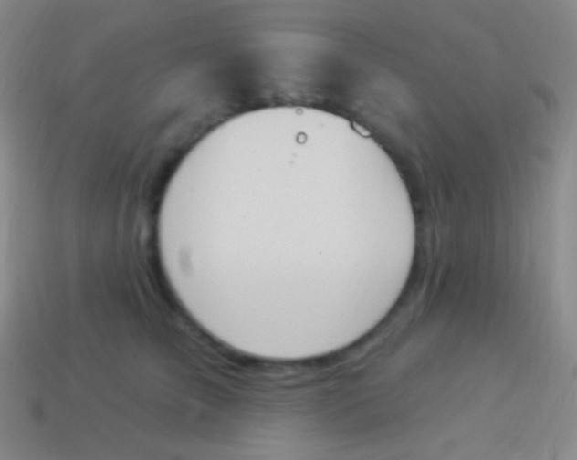 X0000114240709200910231524