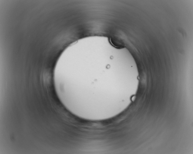 X0000114240715200910231524