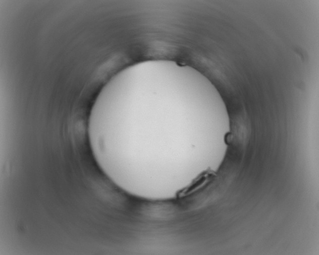 X0000114240716200910231524