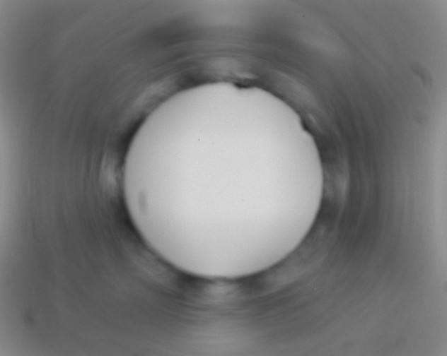 X0000114240718200910231524