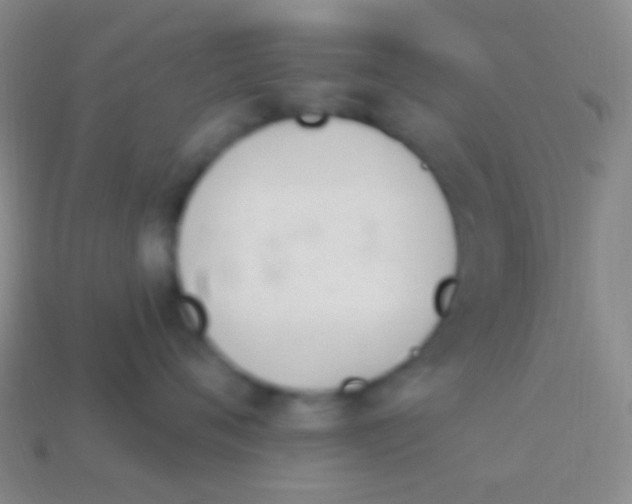X0000114240720200910231524