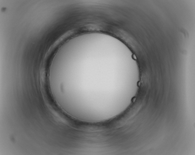 X0000114240722200910231523