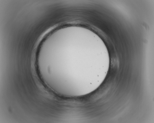 X0000114240724200910231523