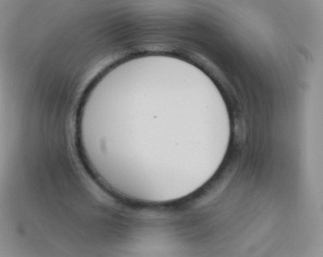 X0000114240725200910231523