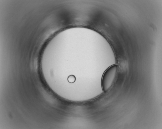 X0000114240726200910231523
