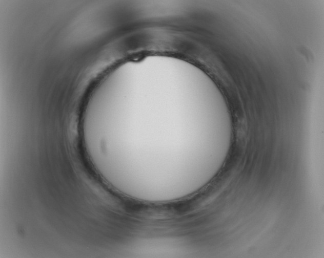 X0000114240727200910231523