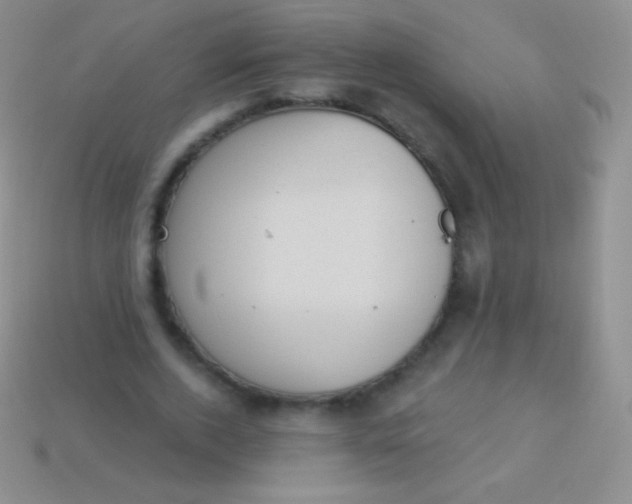 X0000114240728200910231523
