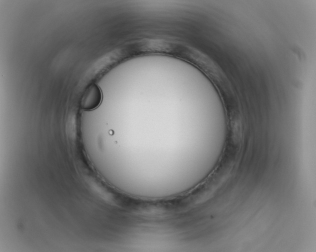 X0000114240729200910231523