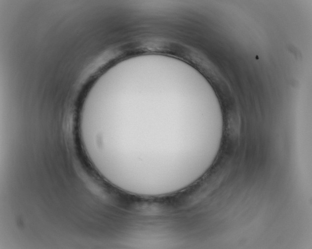X0000114240730200910231523