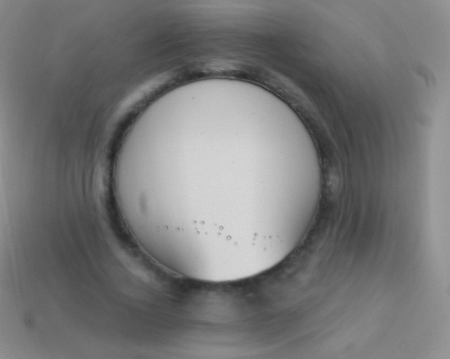 X0000114240732200910231523