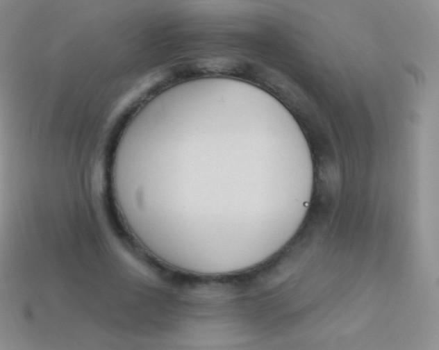 X0000114240734200910231523
