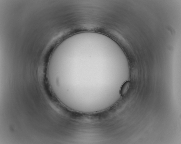 X0000114240736200910231523