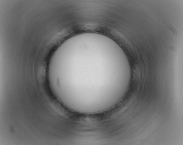 X0000114240739200910231523