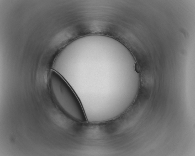 X0000114240740200910231523