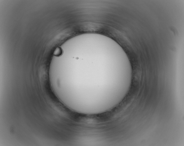 X0000114240743200910231523