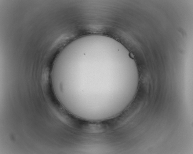 X0000114240744200910231523
