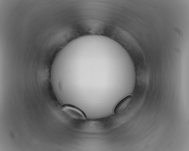 X0000114240748200910231524