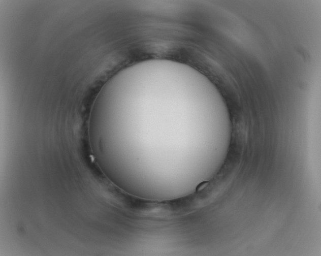 X0000114240750200910231524