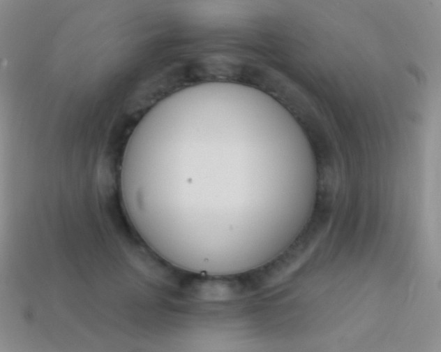 X0000114240751200910231524