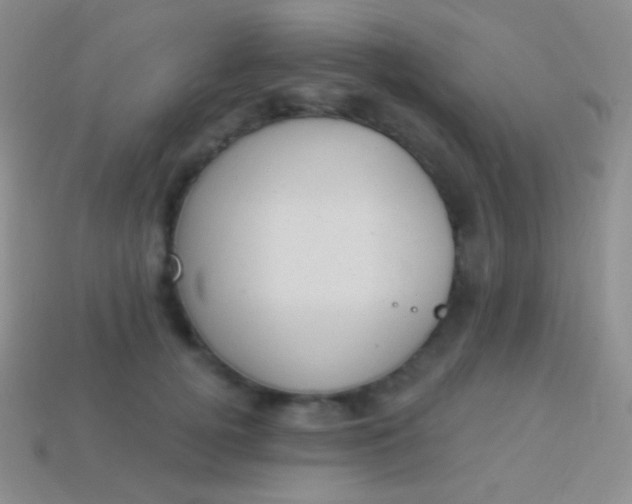 X0000114240752200910231524