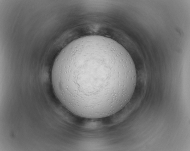X0000114240754200910231524