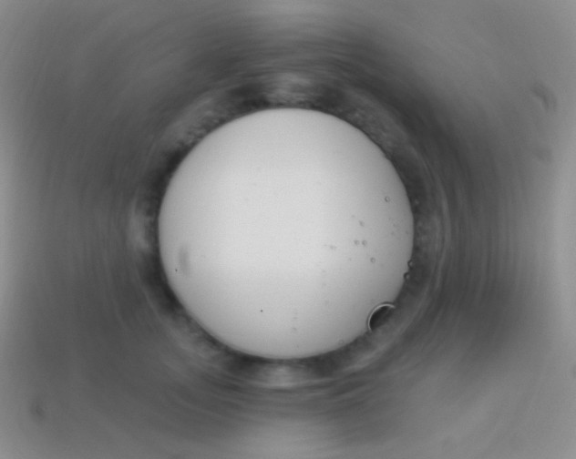 X0000114240755200910231524