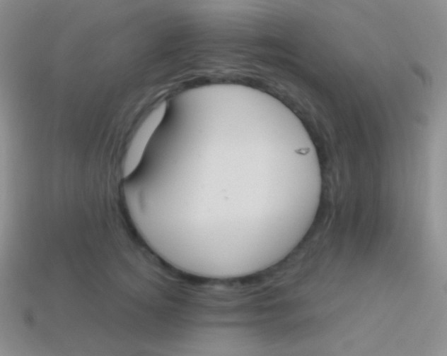 X0000114240756200910231524