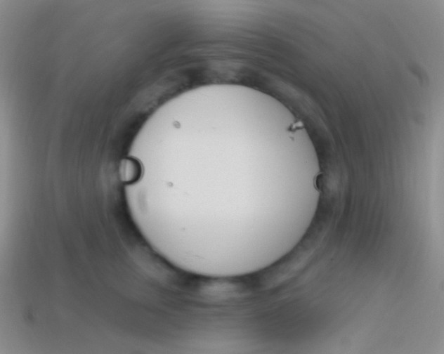 X0000114240759200910231524