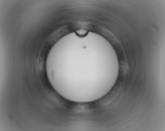 X0000114240760200910231524