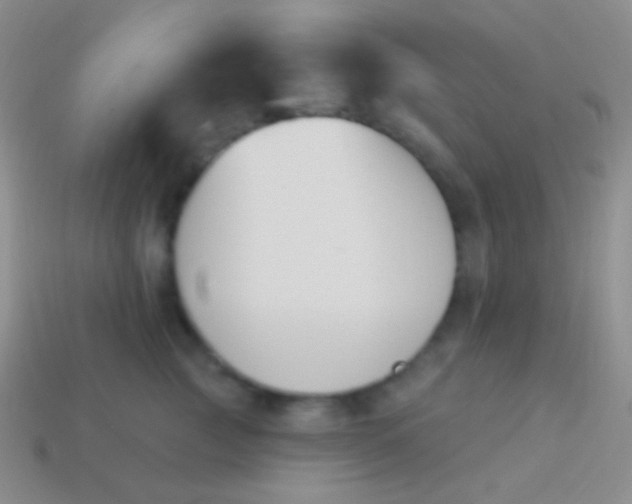 X0000114240761200910231524