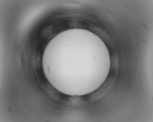 X0000114240762200910231524