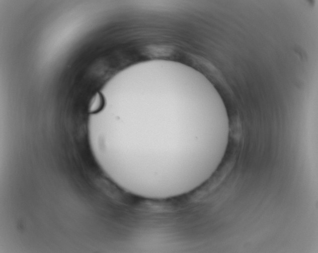 X0000114240763200910231524