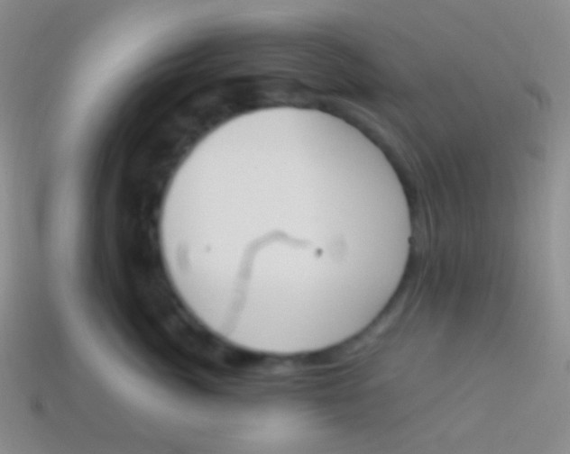 X0000114240764200910231524
