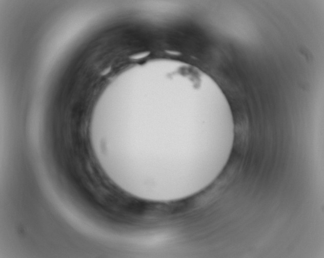 X0000114240765200910231524